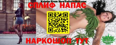 прущие грибы Бийск
