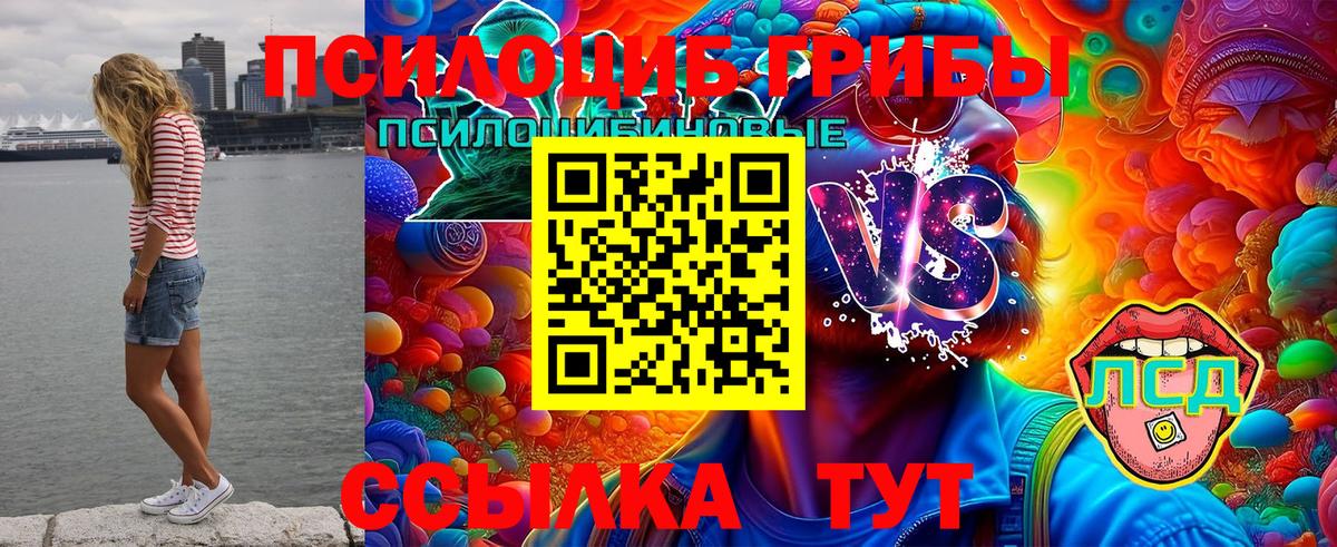 Псилоцибиновые грибы мухоморы Йошкар-Ола