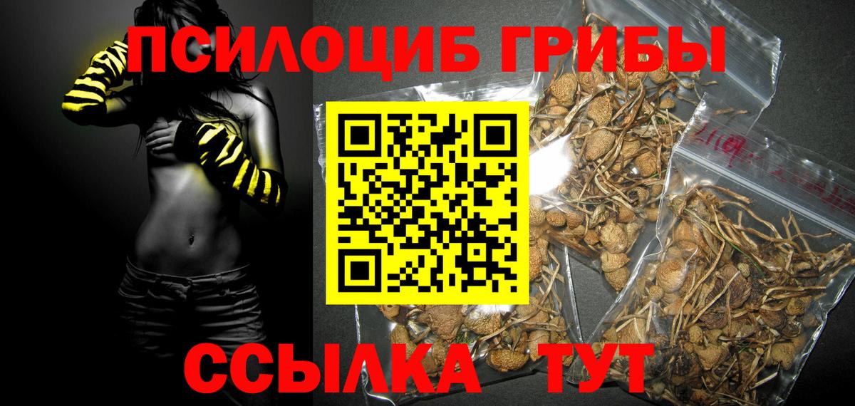 Псилоцибиновые грибы мицелий  Вход с VPN  даркнет сайт  Псилоцибиновые грибы GOLDEN TEACHER  Йошкар-Ола 